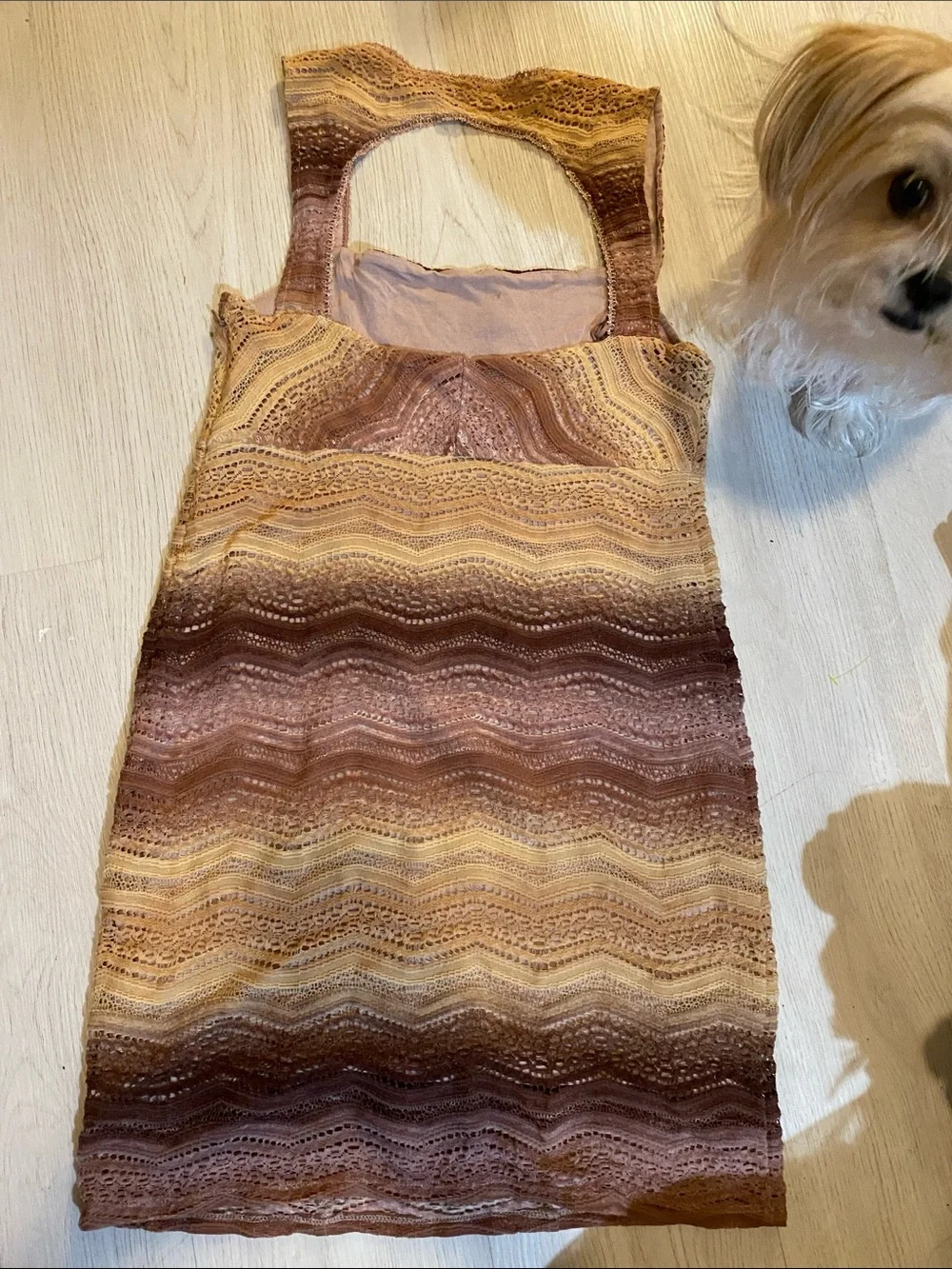 Free People Ombre Lace Mini Dress in Brown and Cream